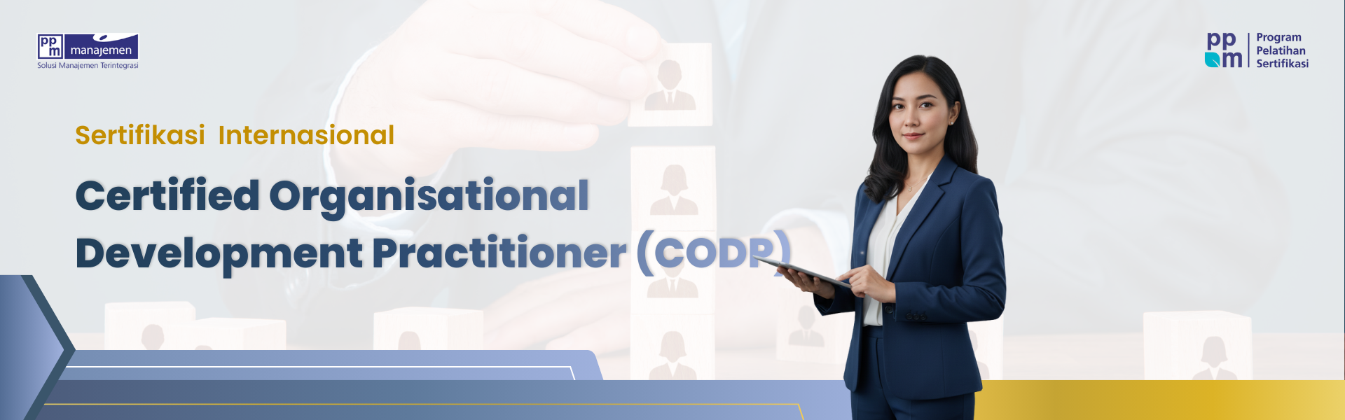 Certified Organisation Development Practitioner (CODP)