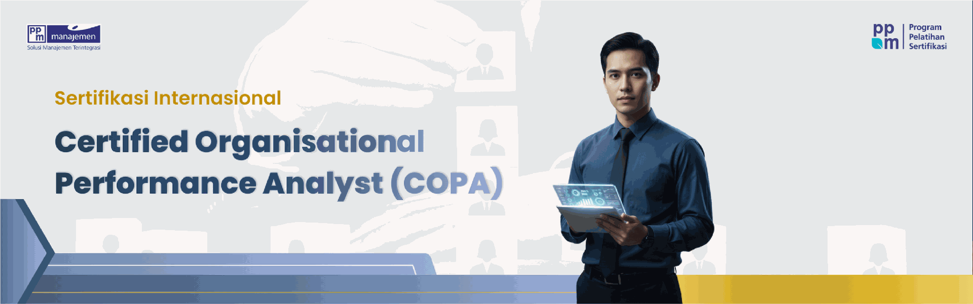 Certified Organisation Performance Analyst (COPA)